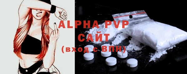 прущие грибы Гусь-Хрустальный