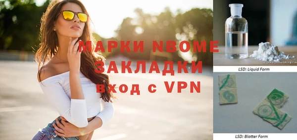 гидра Гусев