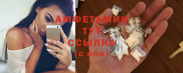 гидра Гусев