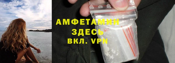 гидра Гусев