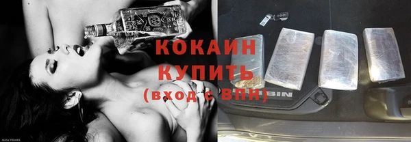 прущие грибы Гусь-Хрустальный