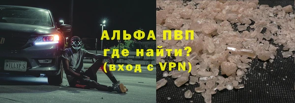 гидра Гусев