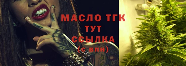 прущие грибы Гусь-Хрустальный