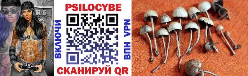 Галлюциногенные грибы Psilocybine cubensis  Купить где  Апатиты 
