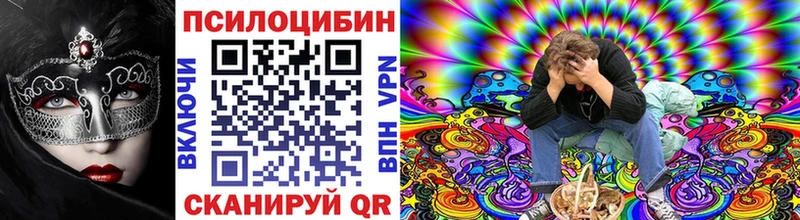 Псилоцибиновые грибы Psilocybine cubensis Апатиты